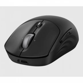 HP Inc. Mysz bezprzewodowa z akumulatorem 705