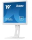 IIYAMA Monitor 19 cali B1980D-W1 DVI/VGA/5:4/PIVOT/HAS/ACR/VESA