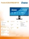 IIYAMA Monitor 34 cale XCB3497WQSNP-B1 + Norton Small Business card 250G PL