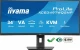IIYAMA Monitor 34 cale XCB3497WQSNP-B1 + Norton Small Business card 250G PL