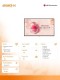 LG Electronics Monitor 49 cali 49UH7J-H IPS 700cd/m2 24/7