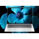 HP Elitebook X G1i Ultra 7 268V 14.0"WUXGA IPS Sure View 5 Eye Ease 800nits AG 32GB LPDDR5x SSD1TB  Intel Arc 140V Cam 5 Mpx AI 68Wh W11Pro 3Y OnSite