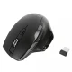 Targus Mysz bezprzewodowa BlueTrace Ergonomic Antimcrobial