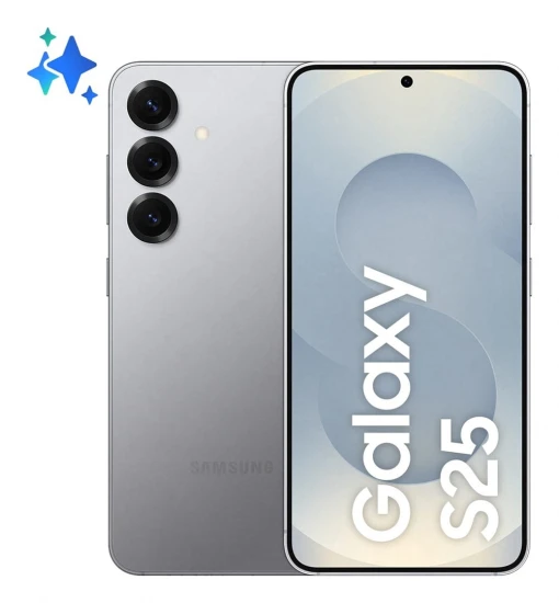 Samsung Galaxy S25 (S931) 5G DS 12/256GB Silver