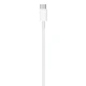 Apple Kabel USB-C TO LIGHTNING (2M)