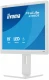 IIYAMA Monitor 19 cali B1980S-W1 HDMI, DP, PIVOT, HAS/150mm