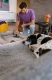 Karcher Odkurzacz piorący SE 4 Go!Further