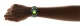 Xiaomi Smart Band 10 AMOLED Opaska do monitorowania aktywności 4,37 cm (1.72") Czarny