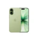 Apple iPhone 17 16 cm (6.3") Dual SIM iOS 26 5G USB Type-C 256 GB Szałwia