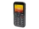 Doro Leva L10 6,1 cm (2.4") 120,7 g Czarny Telefon funkcjonalny
