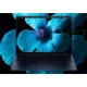 HP EliteBook X G1i 14 inch Notebook Next Gen AI PC Copilot+ PC Intel Core Ultra 7 258V Laptop 35,6 cm (14") 2K 32 GB LPDDR5x-SDRAM 1 TB SSD Wi-Fi 7 (8