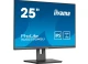 IIYAMA Monitor 25 cali XUB2595WSU-B5 IPS.PIVOT.16:10.USB.DP.HDMI.VGA.2x2W.  300(cd/m2).HAS(150mm)