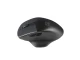 Natec Mysz bezprzewodowa Blackbird 2 1600 DPI z cichym klikiem Czarna