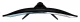 IIYAMA Monitor 34 cale GCB34801WQSU-B1 VA,UWQHD,180HZ,0.4ms,1500R(Curved),   2xHDMI,2xDP,2xUSB 3.2,2x3W,HDR400,HAS(110mm),VESA(100x100mm)