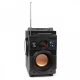SQUEAK Głośnik Bluetooth 5.1 BassBlaster SQ1001 18W